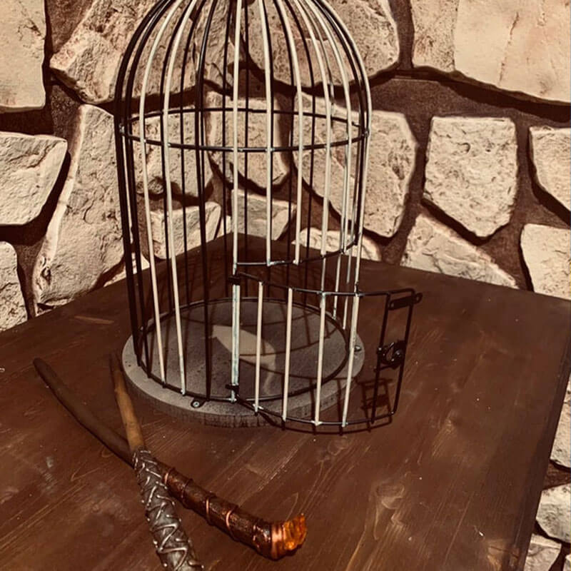empty bird cage on a table in a cobblestone room 1